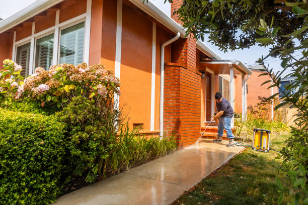 Best Deck Cleaning Services  in Swartzville, PA
