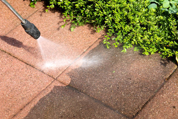 Local Pressure Washing Services in Swartzville, PA